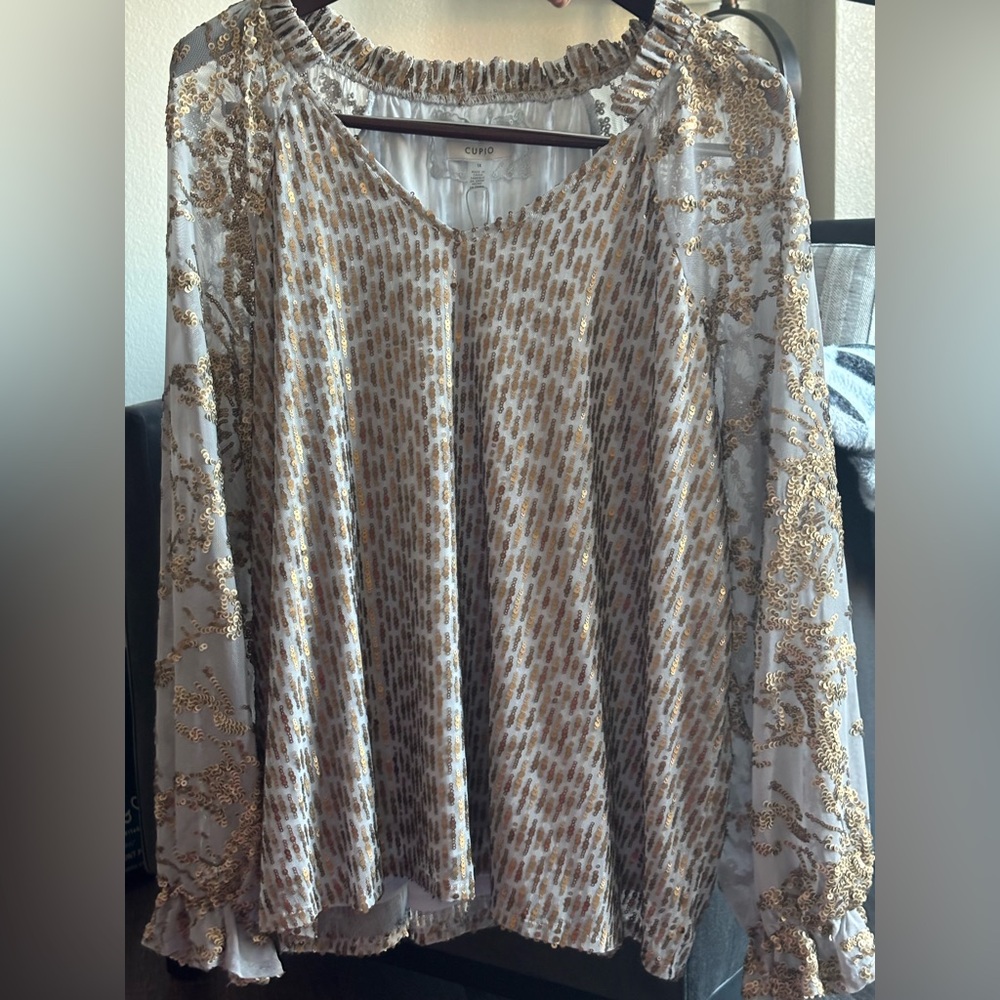 Feather Gray mesh blouse with gold sequins. Beautiful, can dress up or down